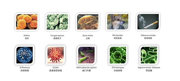 室内空气污染颗粒物微生物与VOC分类
